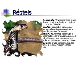 Répteis Sphenodontia  (Rhyncocephalia): grupo exclusivo da primitiva tuatara, restrita a ilhas da Nova Zelândia. Crocodilia : são répteis que possuem escamas e placas ósseas revestindo o corpo. Um exemplo é o jacaré. Testudinae  (Chelonie): este grupo é representado pelas tartarugas, cágados e jabutis. Possuem uma carapaça e um plastrão ventral que protegem seu corpo. Squamata : grupo representado pelos lagartos e cobras. Possuem a língua bífida. 