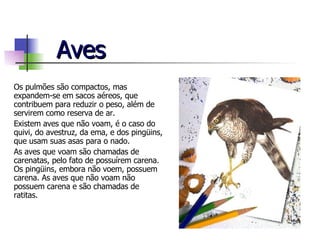 Aves Os pulmões são compactos, mas expandem-se em sacos aéreos, que contribuem para reduzir o peso, além de servirem como reserva de ar. Existem aves que não voam, é o caso do quivi, do avestruz, da ema, e dos pingüins, que usam suas asas para o nado. As aves que voam são chamadas de carenatas, pelo fato de possuírem carena. Os pingüins, embora não voem, possuem carena. As aves que não voam não possuem carena e são chamadas de ratitas. 