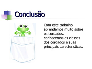 Conclusão Com este trabalho aprendemos muito sobre os cordados, conhecemos as classes dos cordados e suas principais características. 