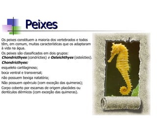 Peixes Os peixes constituem a maioria dos vertebrados e todos têm, em comum, muitas características que os adaptaram à vida na água. Os peixes são classificados em dois grupos:  Chondricthyes  (condrícties)  e  Osteichthyes  (osteícties) . Chondricthyes: esqueleto cartilaginoso; boca ventral e transversal; não possuem bexiga natatória; Não possuem opérculo (com exceção das quimeras); Corpo coberto por escamas de origem placóides ou dentículos dérmicos (com exceção das quimeras). 