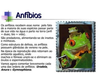 Anfíbios Os anfíbios recebem esse nome  pelo fato de a maioria de suas espécies passar parte de sua vida na água e parte na terra (anfi = duas; bio = vida). São predadores, alimentando-se de insetos e minhocas. Como estrutura de defesa, os anfíbios possuem glândulas de veneno na pele. Na época da reprodução eles retornam ao ambiente aquático, onde machos e fêmeas unem-se e eliminam os óvulos e espermatozóides. Vamos agora comentar brevemente cada uma das ordens de anfíbios:  Urodela ,  Anura  e  Gymnophiona . 
