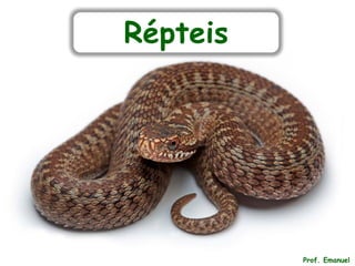 Répteis
Prof. Emanuel
 
