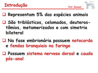 Representam 5% das espécies animais
 São triblásticos, celomados, deuteros-
tômios, metamerizados e com simetria
bilateral
 Na fase embrionária possuem notocorda
e fendas branquiais na faringe
 Possuem sistema nervoso dorsal e cauda
pós-anal
Introdução Prof. Emanuel
 