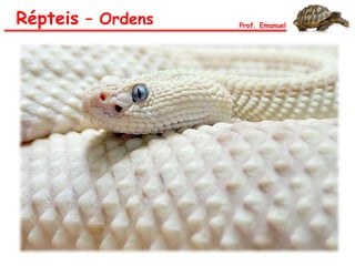 Répteis – Ordens Prof. Emanuel
 