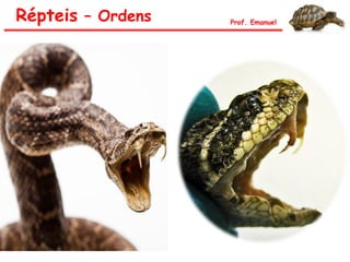 Répteis – Ordens Prof. Emanuel
 