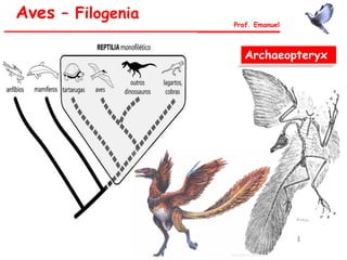 Aves – Filogenia
Prof. Emanuel
Archaeopteryx
 