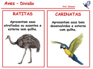 Aves – Divisão
Prof. Emanuel
RATITAS
Apresentam asas
atrofiadas ou ausentes e
esterno sem quilha.
CARINATAS
Apresentam asas bem
desenvolvidas e esterno
com quilha.
 