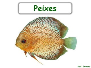 Peixes
Prof. Emanuel
 