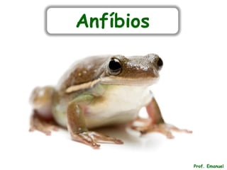Anfíbios
Prof. Emanuel
 