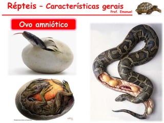 Répteis – Características gerais
Prof. Emanuel
Ovo amniótico
 