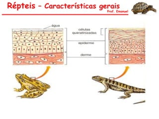 Répteis – Características gerais
Prof. Emanuel
 