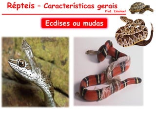 Répteis – Características gerais
Prof. Emanuel
Ecdises ou mudas
 