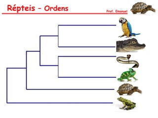Répteis – Ordens Prof. Emanuel
 