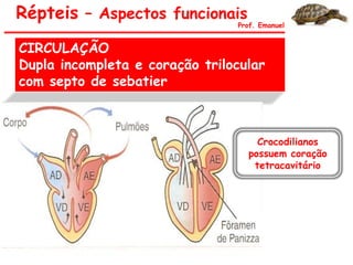 CIRCULAÇÃO
Dupla incompleta e coração trilocular
com septo de sebatier
Répteis – Aspectos funcionais
Prof. Emanuel
Crocodilianos
possuem coração
tetracavitário
 