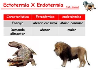 Característica Ectotérmico endotérmico
Energia Menor consumo Maior consumo
Demanda
alimentar
Menor maior
Ectotermia X Endotermia Prof. Emanuel
 