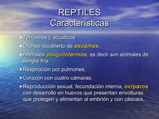 REPTILES
Características
• Terrestres y acuáticos
• Cuerpo recubierto de escamas .
• Animales poiquilotermos , es decir son animales de
sangre fría.
• Respiración por pulmones.
• Corazón con cuatro cámaras.
• Reproducción sexual, fecundación interna, ovíparos
con desarrollo en huevos que presentan envolturas
que protegen y alimentan al embrión y con cáscara.

 