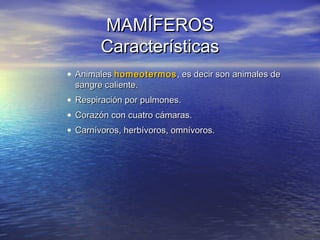 MAMÍFEROS
Características
• Animales homeotermos , es decir son animales de
sangre caliente.
• Respiración por pulmones.
• Corazón con cuatro cámaras.
• Carnívoros, herbívoros, omnívoros.

 