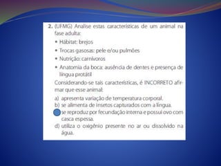 Cordados.anfíbios.répteis