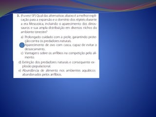 Cordados.anfíbios.répteis