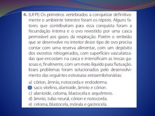 Cordados.anfíbios.répteis