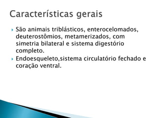 São animais triblásticos, enterocelomados,
deuterostômios, metamerizados, com
simetria bilateral e sistema digestório
completo.
 Endoesqueleto,sistema circulatório fechado e
coração ventral.
 
