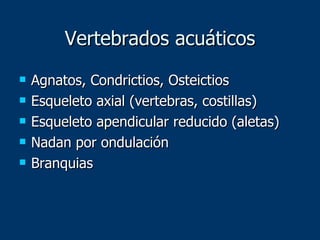 Vertebrados acuáticos Agnatos, Condrictios, Osteictios Esqueleto axial (vertebras, costillas) Esqueleto apendicular reducido (aletas) Nadan por ondulación Branquias 