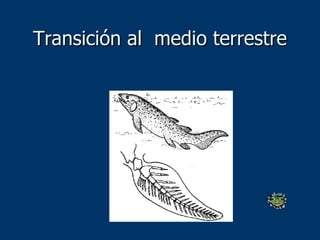 Transición al  medio terrestre 