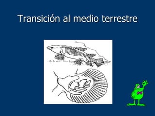 Transición al medio terrestre 