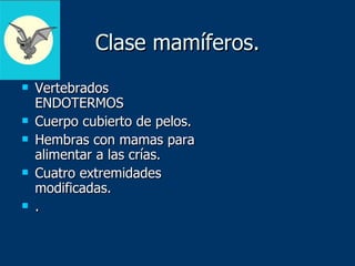 Clase mamíferos. Vertebrados ENDOTERMOS Cuerpo cubierto de pelos. Hembras con mamas para alimentar a las crías. Cuatro extremidades modificadas. . 