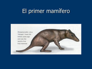 El primer mamífero 