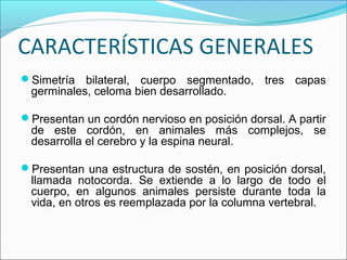 CARACTERÍSTICAS GENERALES
Simetría bilateral, cuerpo segmentado, tres capas
germinales, celoma bien desarrollado.
Presen...