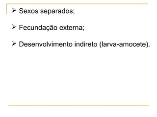  Sexos separados;

 Fecundação externa;

 Desenvolvimento indireto (larva-amocete).
 