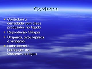 Cordados Controlam a densidade com óleos produzidos no fígado Reprodução Clásper Ovìparos, ovovivíparos e vivíparos Linha lateral : percepção de vibrações na água 