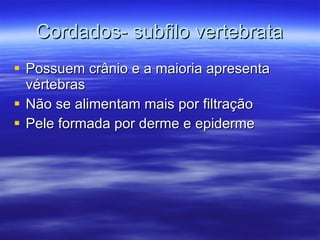 Cordados- subfilo vertebrata Possuem crânio e a maioria apresenta vértebras Não se alimentam mais por filtração Pele formada por derme e epiderme 