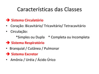 Características das Classes    Sistema Circulatório Coração: Bicavitário/ Tricavitário/ Tetracavitário Circulação:  *Simples ou Dupla  * Completa ou Incompleta    Sistema Respiratório Branquial / Cutânea / Pulmonar    Sistema Excretor Amônia / Uréia / Ácido Úrico 