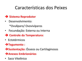 Características dos Peixes    Sistema Reprodutor Desenvolvimento:  *Ovulíparo/ Ovovivíparos Fecundação: Externa ou Interna     Controle da Temperatura: Ectotérmicos Tegumento : Sustentação:  Ósseos ou Cartilaginosos Anexos Embrionários Saco Vitelínico 