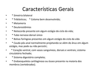 Características Gerais * Simetria bilateral * Triblásticos;  * Celoma bem desenvolvido; * Metameria * Deuterostômios * Notocorda presente em algum estágio do ciclo da vida; * Tubo nervoso dorsal único  * Bolsas faríngeas presentes em algum estágio do ciclo da vida * Cauda pós-anal normalmente projetando-se além do ânus em algum estágio, mas pode ou não persistir; * Coração ventral, com vasos sanguíneos, dorsais e ventrais; sistema circulatório fechado; * Sistema digestório completo; * Endoesqueleto cartilaginoso ou ósseo presente na maioria dos membros (vertebrados). 