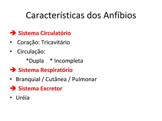 Características dos Anfíbios    Sistema Circulatório Coração: Tricavitário Circulação:  *Dupla  * Incompleta    Sistema Respiratório Branquial / Cutânea / Pulmonar    Sistema Excretor Uréia 