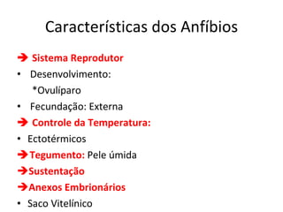 Características dos Anfíbios    Sistema Reprodutor Desenvolvimento:  *Ovulíparo Fecundação: Externa    Controle da Temperatura: Ectotérmicos  Tegumento:  Pele úmida Sustentação Anexos Embrionários Saco Vitelínico 