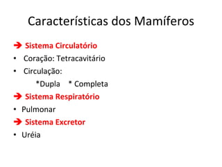 Características dos Mamíferos    Sistema Circulatório Coração: Tetracavitário Circulação:  *Dupla  * Completa     Sistema Respiratório Pulmonar    Sistema Excretor Uréia 