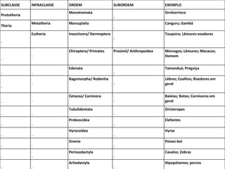 SUBCLASSE INFRACLASSE ORDEM SUBORDEM EXEMPLO Prototheria Monotremata -  Ornitorrinco Theria Metatheria Marsupialia -  Canguru; Gambá -  Eutheria Insectivora/ Dermoptera -  Toupeira; Lêmures-voadores -  -  Chiroptera/ Primates Prosimil/ Anthropoidea Morcegos; Lêmures; Macacos; Homem -  -  Edenata -  Tamanduá; Preguiça -  -  Bagomorpha/ Rodentia -  Lébres; Coelhos; Roedores em geral -  -  Cetacea/ Carnívora -  Baleias; Botos; Carnívoros em geral -  -  Tubulidentata -  Oricteropes -  -  Proboscidea -  Elefantes -  -  Hyracoidea -  Hyrax -  -  Sirenia -  Peixes-boi -  -  Perissodactyla -  Cavalos; Zebras -  -  Artiodactyla -  Hipopótamos; porcos 