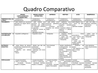 Quadro Comparativo 