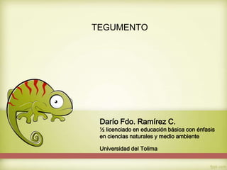 TEGUMENTO

Darío Fdo. Ramírez C.

½ licenciado en educación básica con énfasis
en ciencias naturales y medio ambiente
Universidad del Tolima

 