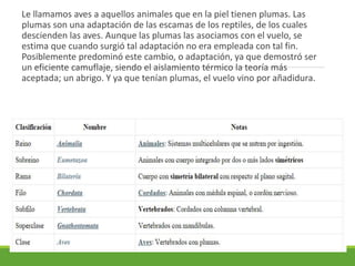 Le llamamos aves a aquellos animales que en la piel tienen plumas. Las
plumas son una adaptación de las escamas de los reptiles, de los cuales
descienden las aves. Aunque las plumas las asociamos con el vuelo, se
estima que cuando surgió tal adaptación no era empleada con tal fin.
Posiblemente predominó este cambio, o adaptación, ya que demostró ser
un eficiente camuflaje, siendo el aislamiento térmico la teoría más
aceptada; un abrigo. Y ya que tenían plumas, el vuelo vino por añadidura.
 