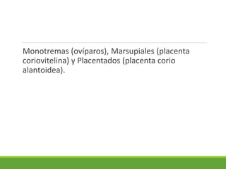 Monotremas (ovíparos), Marsupiales (placenta
coriovitelina) y Placentados (placenta corio
alantoidea).
 