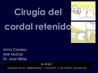 Cirugía del
cordal retenido
Inma Conesa
Mar Murcia
Dr Joan Birbe
B I R B E
Vía Augusta 101 bis . 08006 Barcelona . T: 932124737 . F: 93 218 0817. www.birbe.org
 