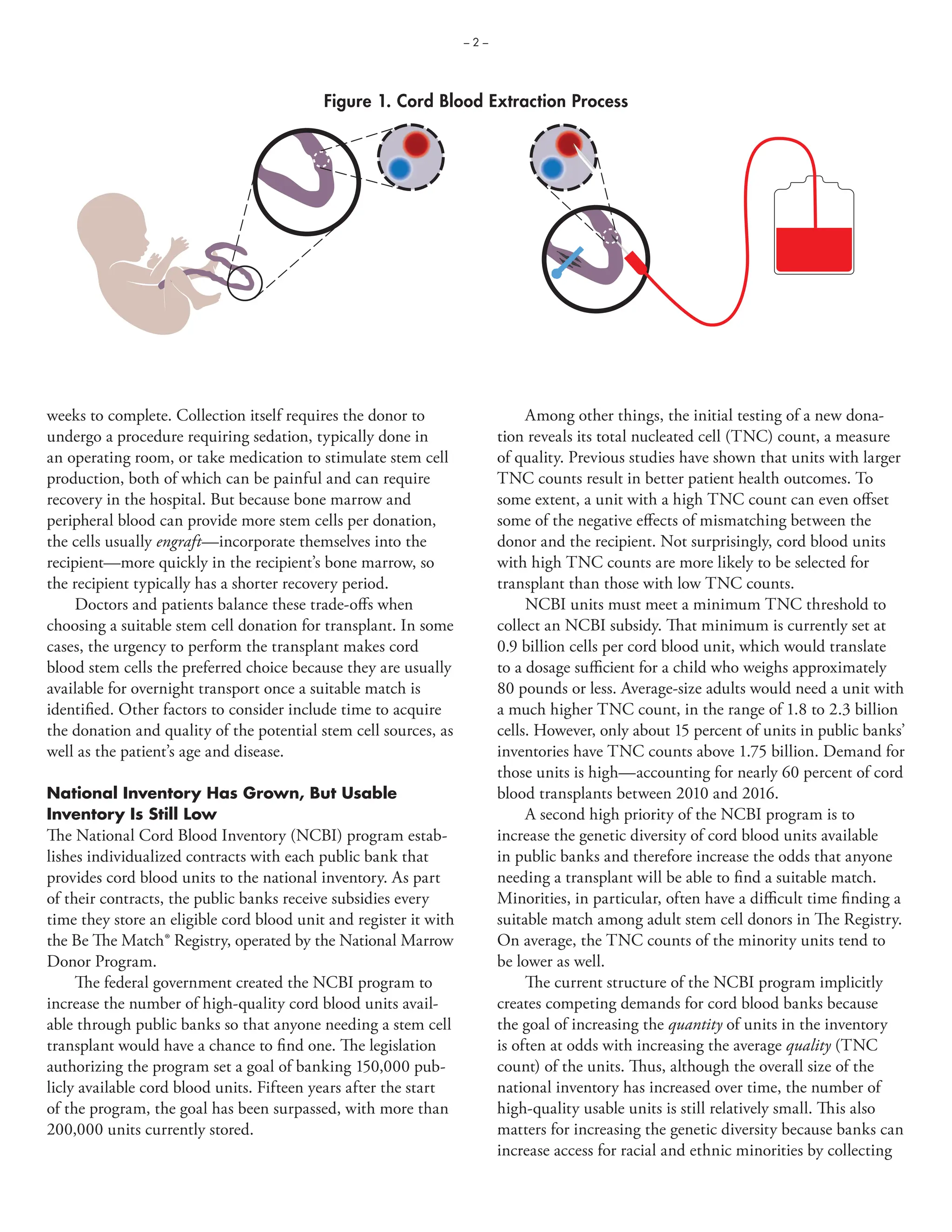 Cord banks worth of investment.pdf