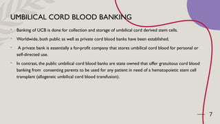 Comprehensive Guide to Umbilical Cord Blood Banking and Stem Cell ...