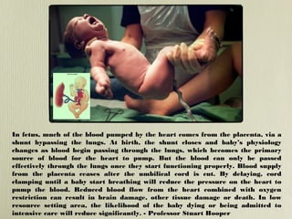 In fetus, much of the blood pumped by the heart comes from the placenta, via a 
shunt bypassing the lungs. At birth, the shunt closes and baby’s physiology 
changes as blood begin passing through the lungs, which becomes the primary 
source of blood for the heart to pump. But the blood can only be passed 
effectively through the lungs once they start functioning properly. Blood supply 
from the placenta ceases after the umbilical cord is cut. By delaying, cord 
clamping until a baby start breathing will reduce the pressure on the heart to 
pump the blood. Reduced blood flow from the heart combined with oxygen 
restriction can result in brain damage, other tissue damage or death. In low 
resource setting area, the likelihood of the baby dying or being admitted to 
intensive care will reduce significantly. - Professor Stuart Hooper 
