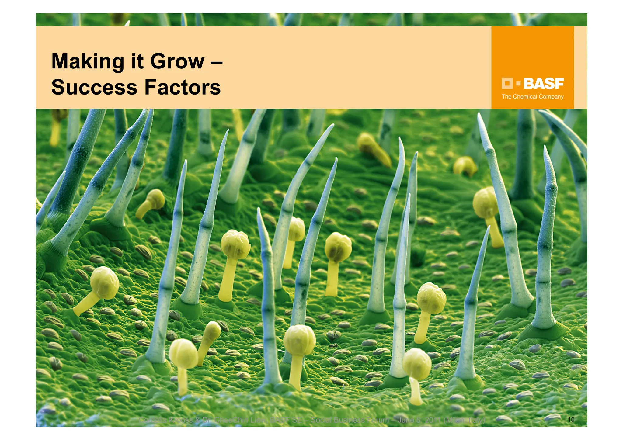 Making it Grow –
Success Factors




        Cordelia Krooss & Dr. CheeChin Liew, BASF SE – Social Business Forum – June 8, 2011 (Milan, Italy)   10
 